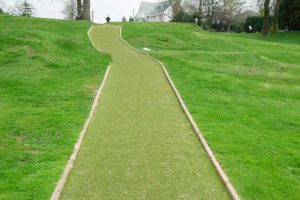 Artificial Turf Pathway