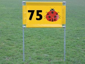 Ladybird Horizontal Target