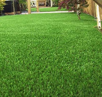 Lush Fringe Putting Green Surround Turf